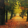 Autumn Walk CLIV.