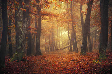Explore the Best Fall Art | DeviantArt