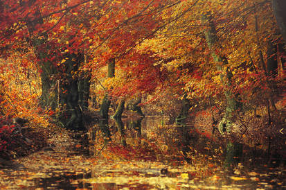 Explore the Best Fall Art | DeviantArt