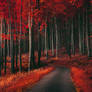 Red Forest XV.