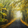 Autumn Journey XXXVIII.