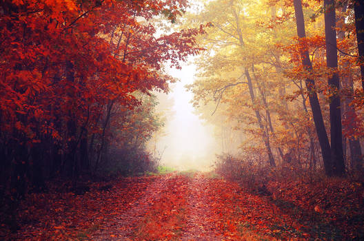 Explore the Best Autumn Art | DeviantArt