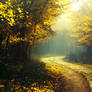 Autumn Walk CCXXV.