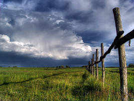 Beyond the Fence...