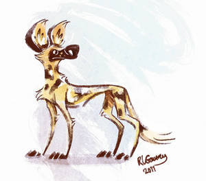 African Wild Dog