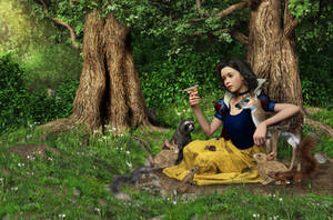 Disney Fairyrales: Snow White 002