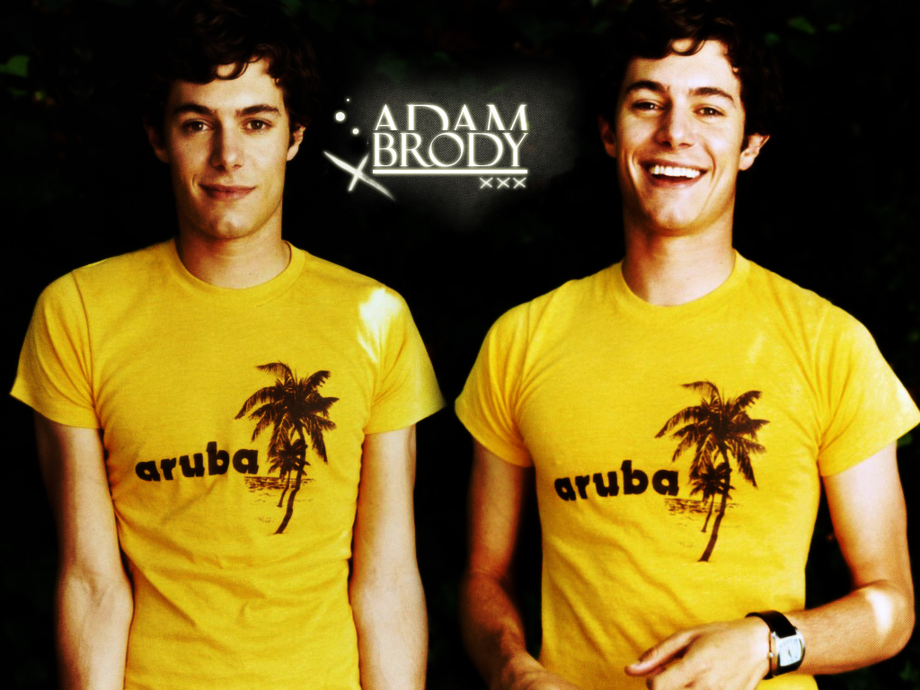 Adam Brody Wallpaper