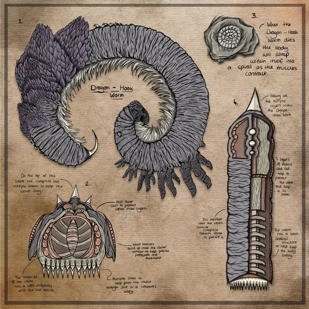 Worm Creature Development by NimlongArt on DeviantArt
