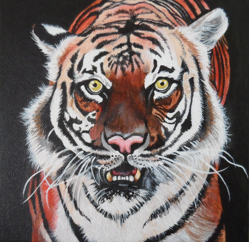 Tiger