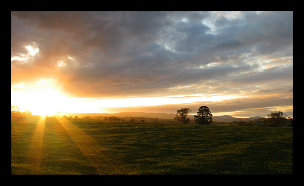 Rothbury Glory