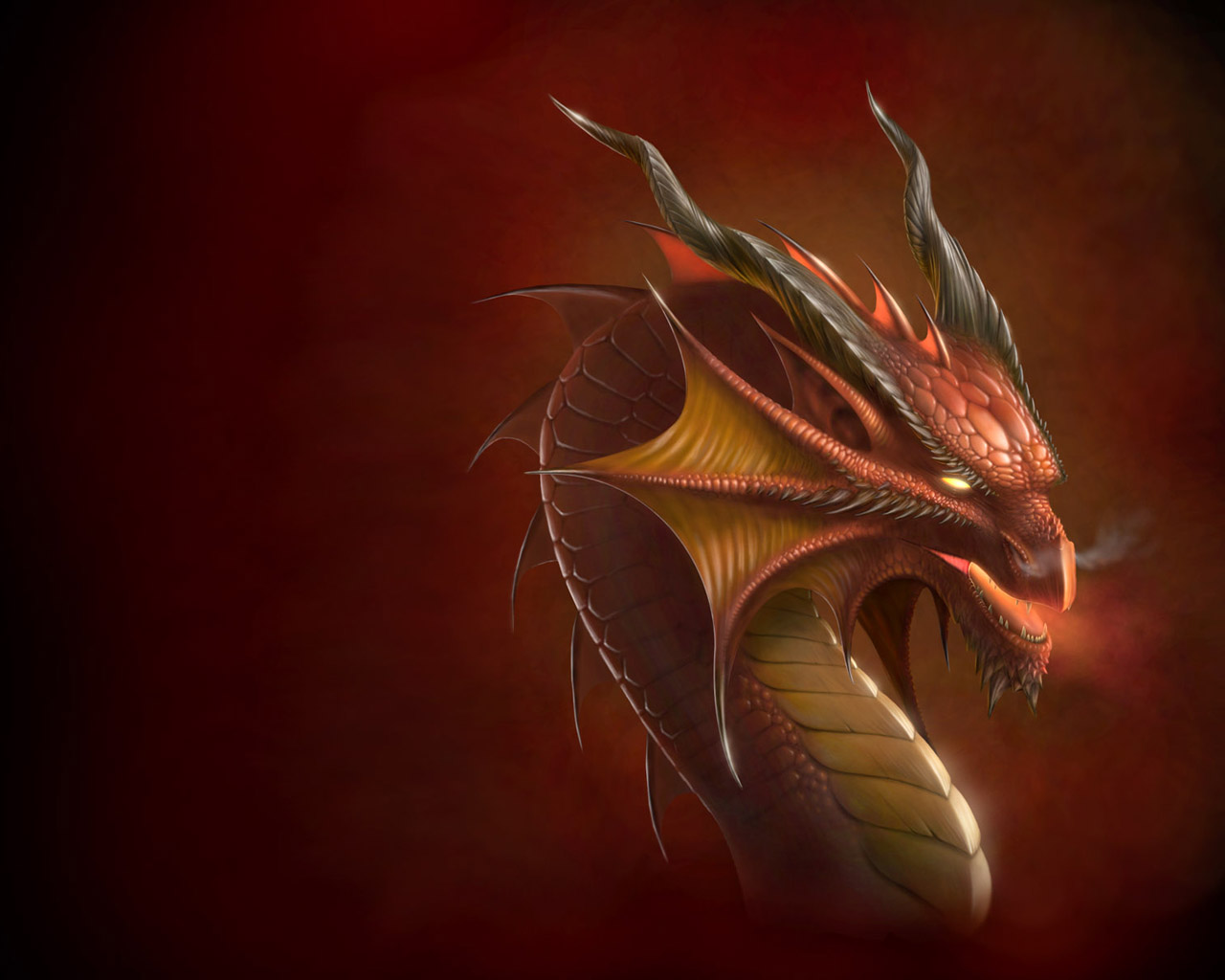 Dragon head Wallpaper by Deligaris on DeviantArt Dragon head Wallpaper by Deligaris on DeviantArt