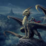 Dragon Rider