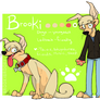 Brooki Reference - 2013