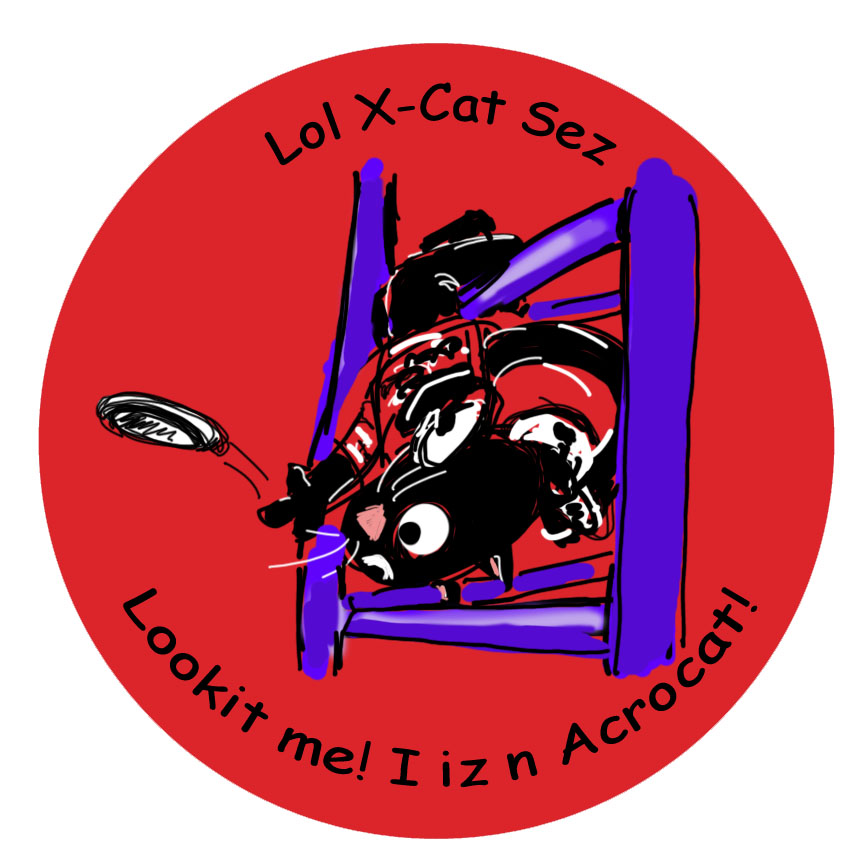 2013 LOL X-Cat Pin Design