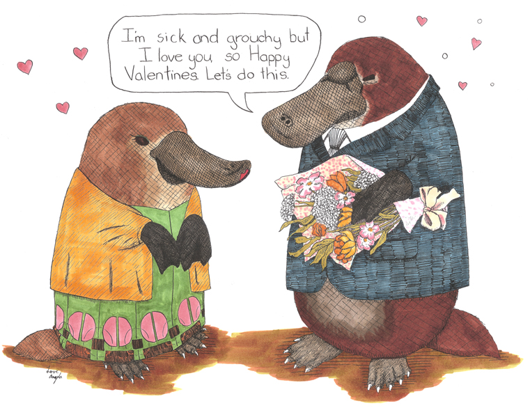 Colorful Platypus Valentines