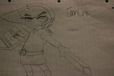 Toon Link