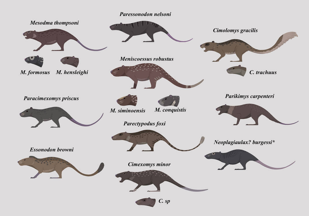 Multituberculates of Hell Creek by Tyrannoraptoran on DeviantArt