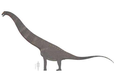 Alamosaurus sanjuanensis