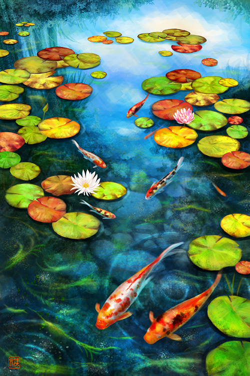 Koi in lily pond