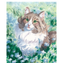 norweigan forest cat in flower field