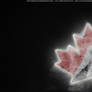 Team Canada Ice