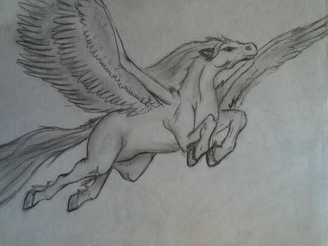 Explore The Best Pegase Art Deviantart Explore The Best Pegase Art Deviantart