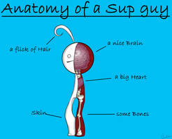 Anatomy of a Sup guy