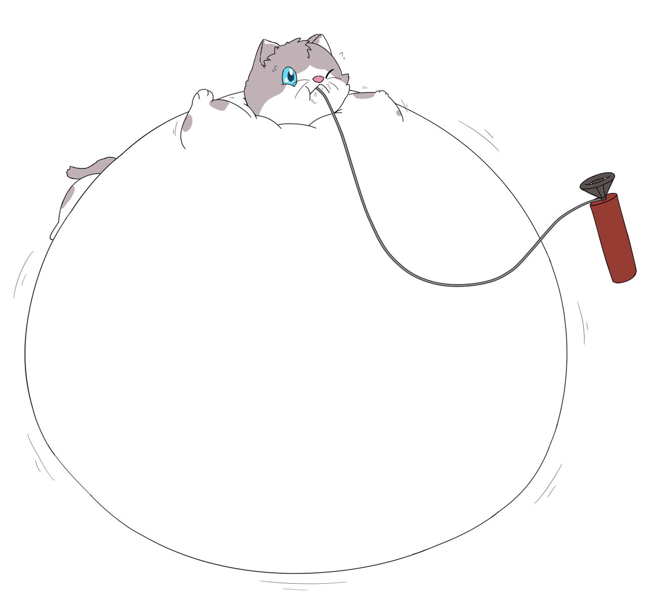 (Commission) Inflated Ragdoll Cat by selphy6 on DeviantArt