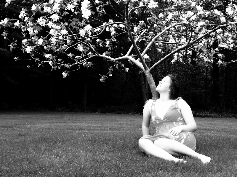 under the apple tree