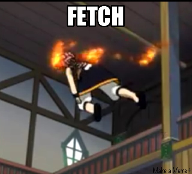 Fetch