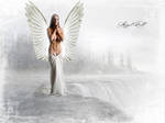 White AngeL by AngeL-FaLL