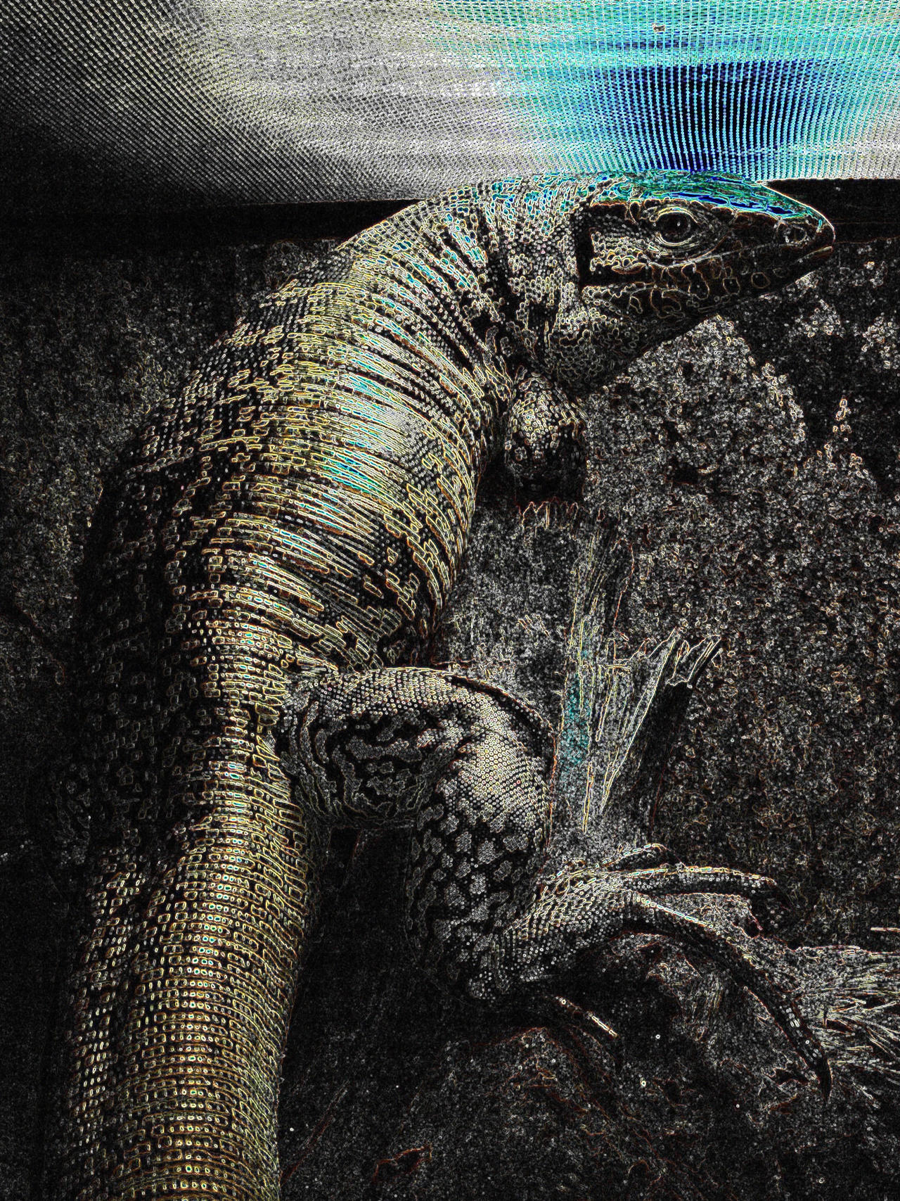 Fat lizard by poo-stinker on DeviantArt