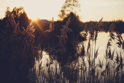 Sunset over the Pond