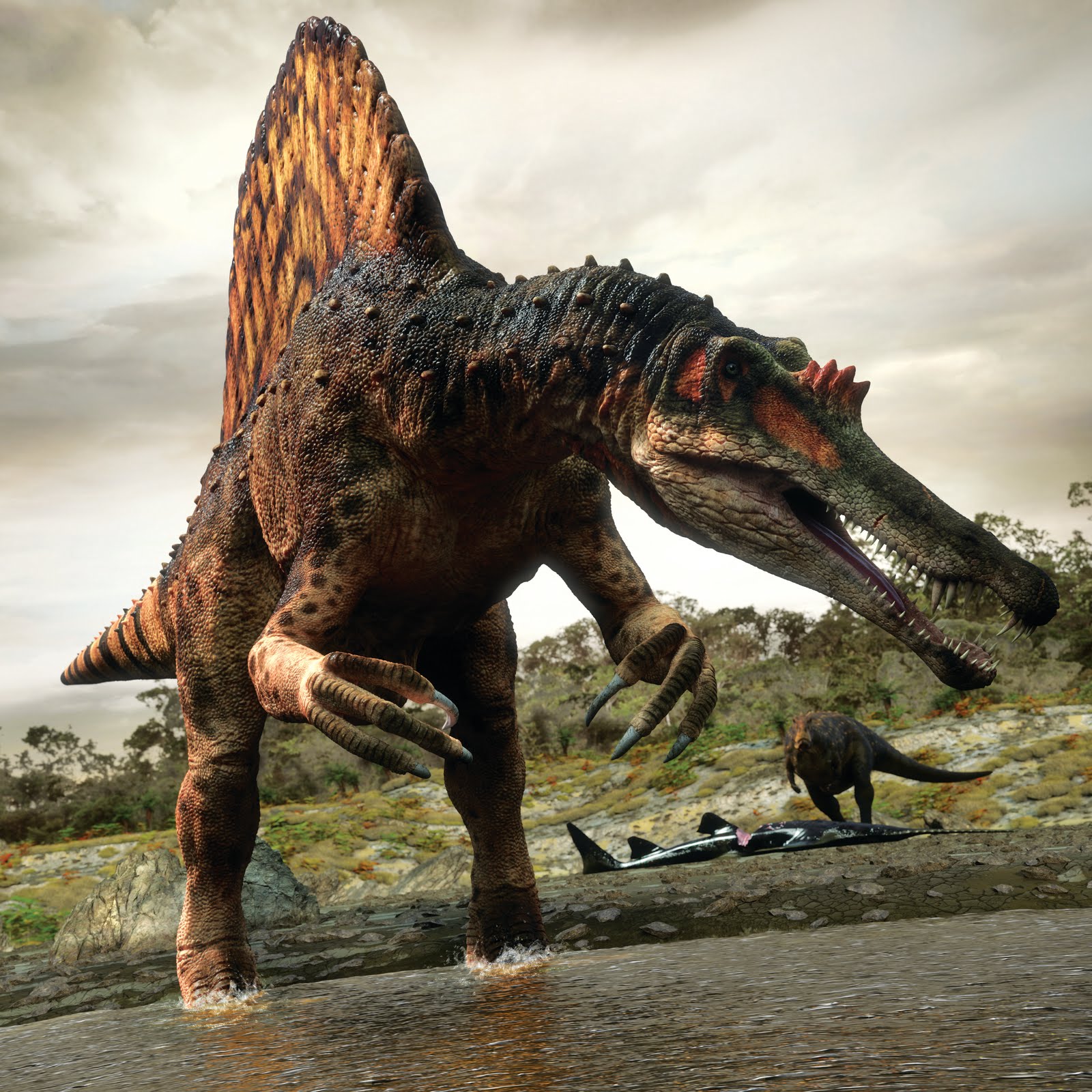 If the Deinosuchus was still alive, which animals would it target considering their large size? - Quora
