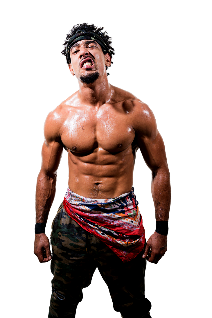 A R Fox Ar fox PNG by wrestlerPNGs on DeviantArt