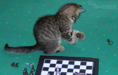 Playing Chess