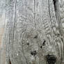 Wood Texture 01