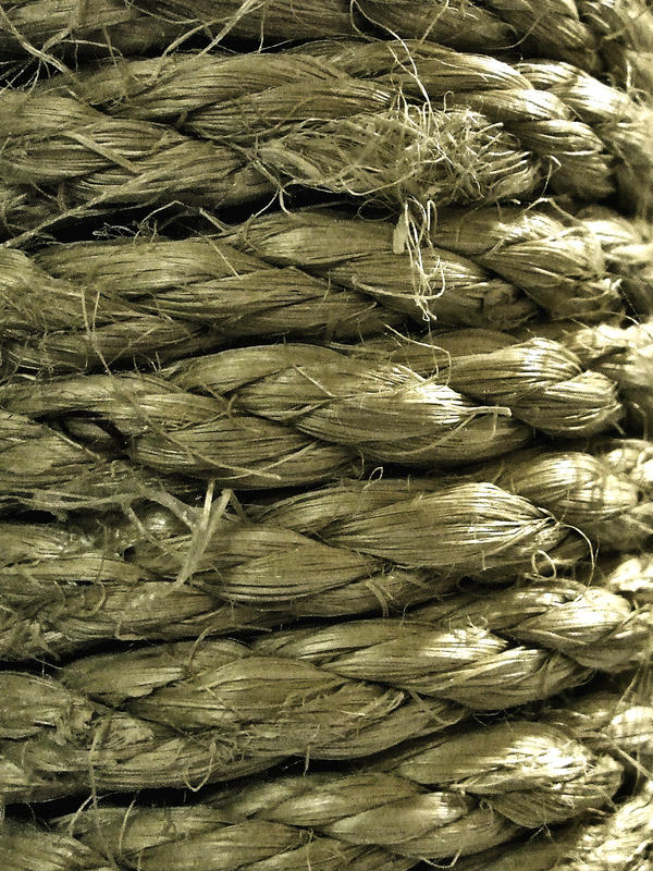 Rope Texture 01