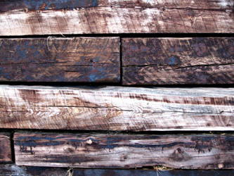 Old Wood Texture