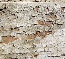 Peeling Paint 02