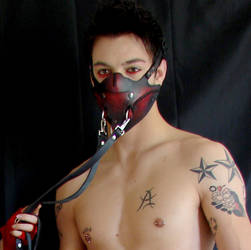 Red Bondage Face Mask