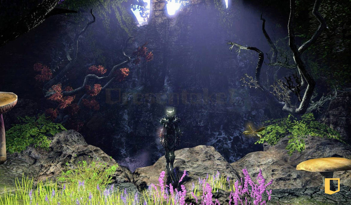 Grotto Ii Fungal Grotto II by ShaeeArchoree on DeviantArt