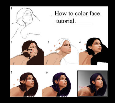 farewina tutorial