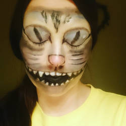 Cheshire cat facepaint