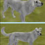 ledas doggy texture! free!