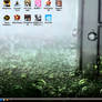 My Previous Vista Desktop
