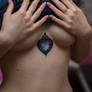 cover up