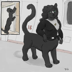 Chakat Blacknight by Seth Triggs