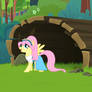 Animation Crossover - Fluttershy