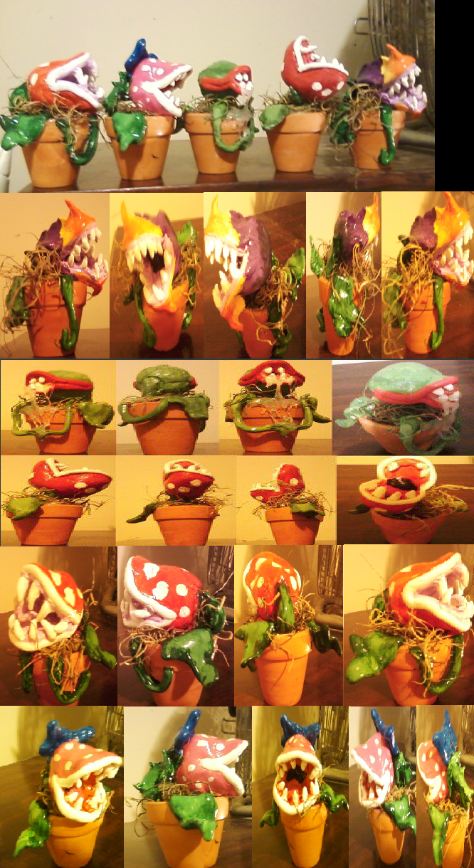 Adopt a Piranha Plant Project - Adopt one today!